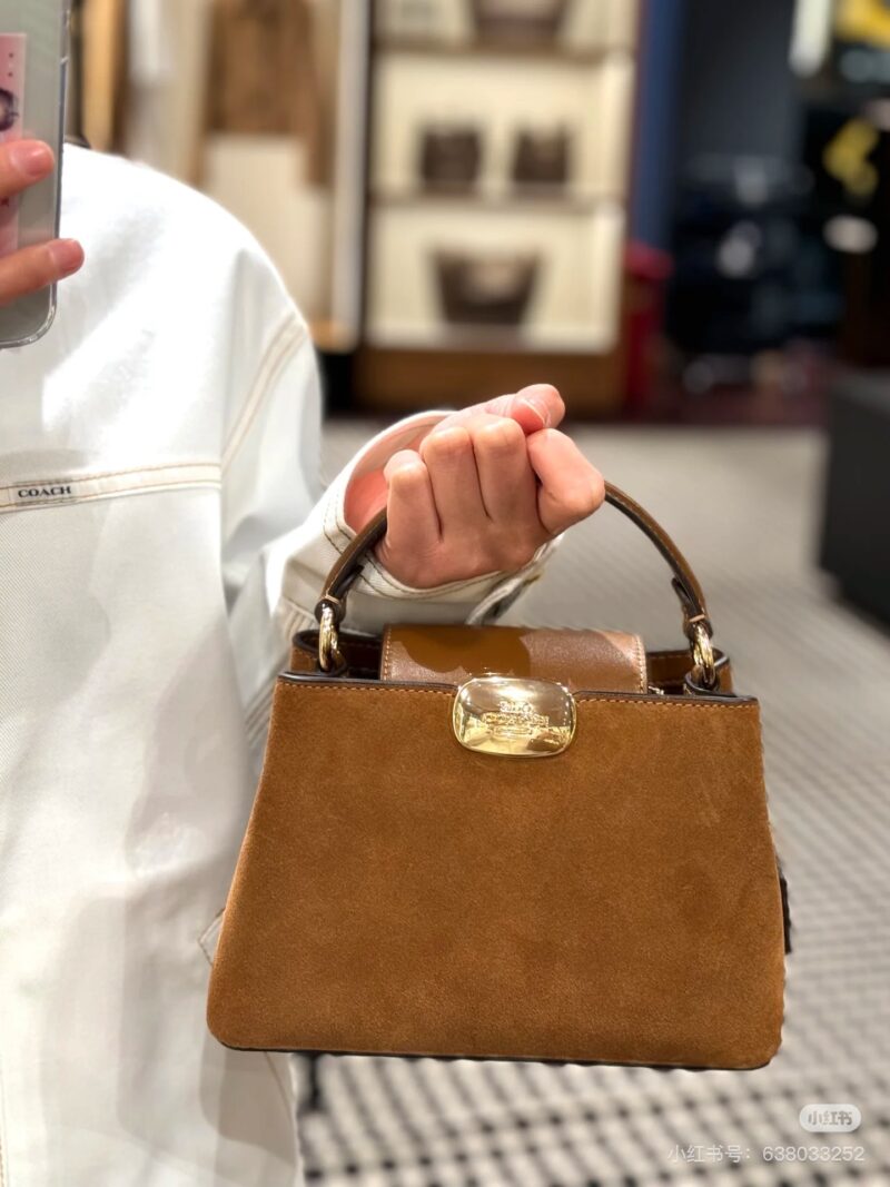 Coach's new frosted leather handbag