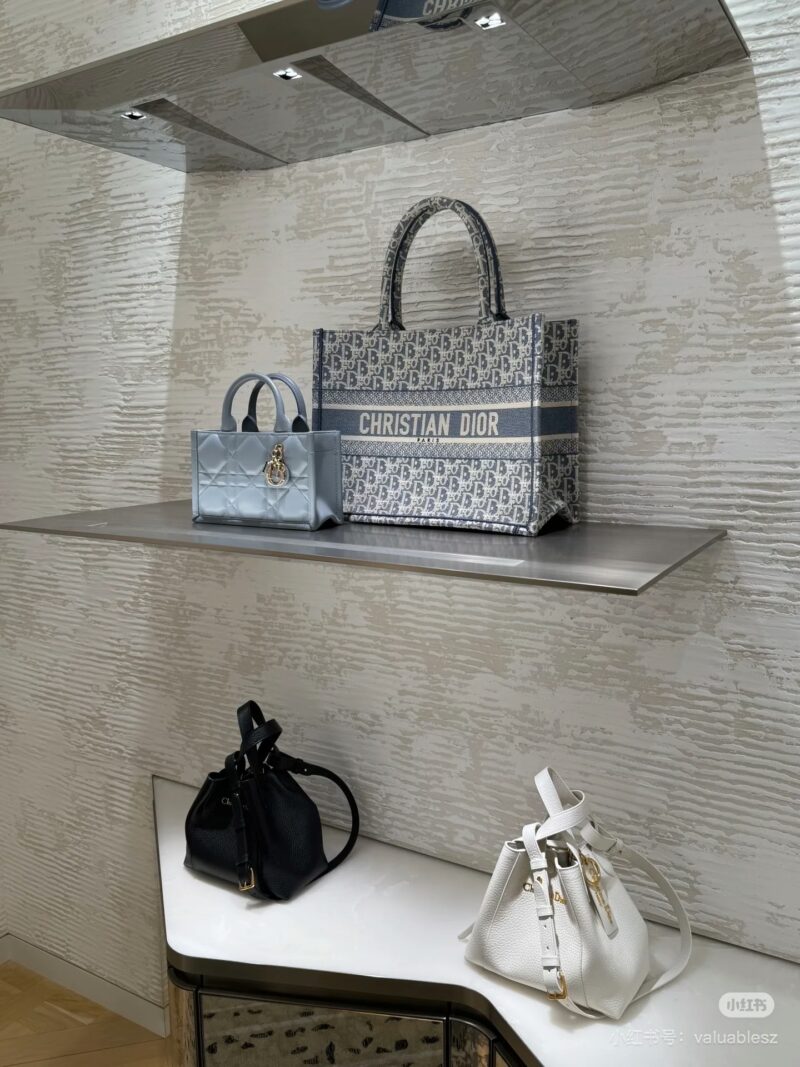 Dior's new color tote gray