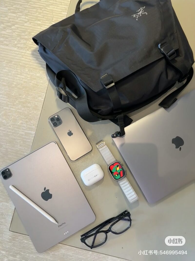 1127f5394f.jpg Archaeopteryx Postman Bag