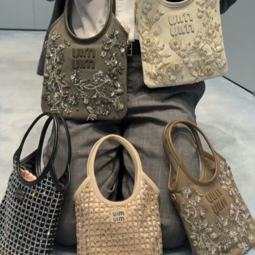 Call for Maimai in the New Year+
-The small bag in front of me is really beautiful