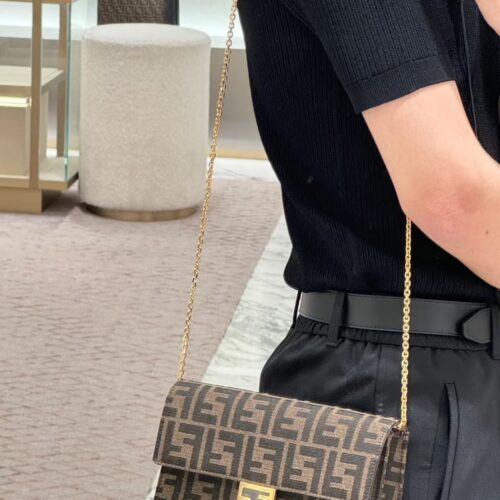 Exquisite and trendy FENDI woc