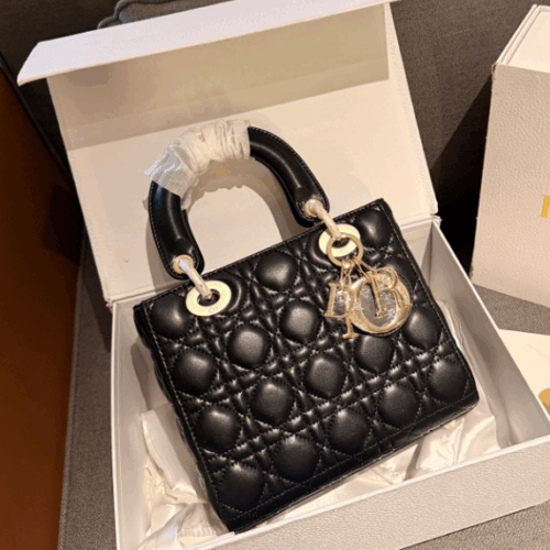 dior 1