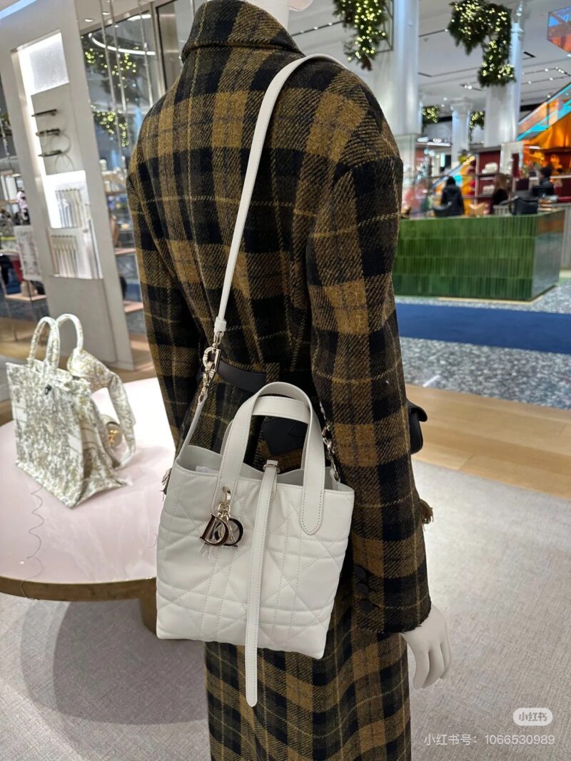 Dior indigenous bag small size practical texture and high-end