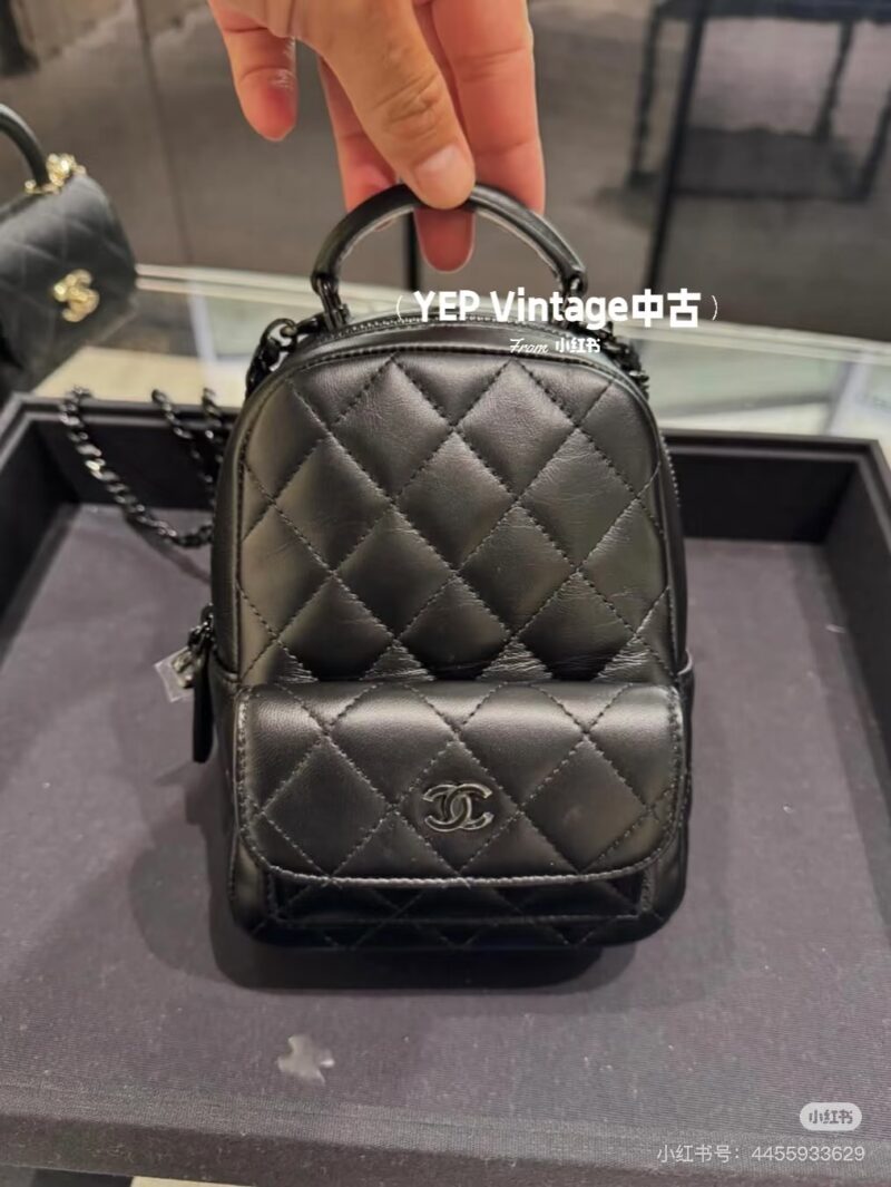 Chanel backpack 25p
