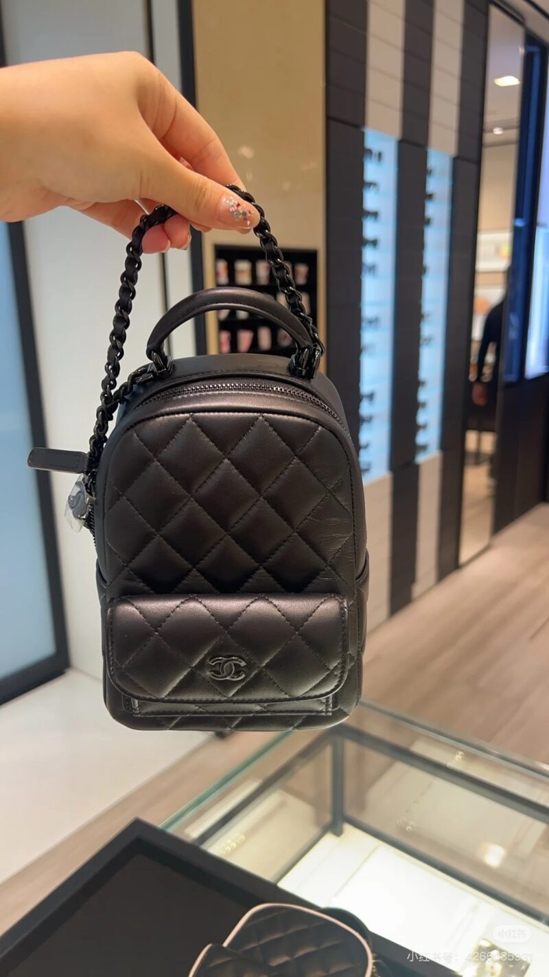 Chanel backpack 25p