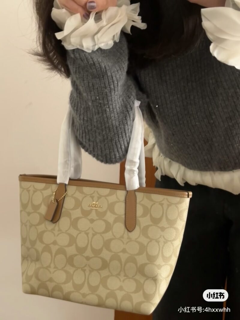 Coach's Small Tote