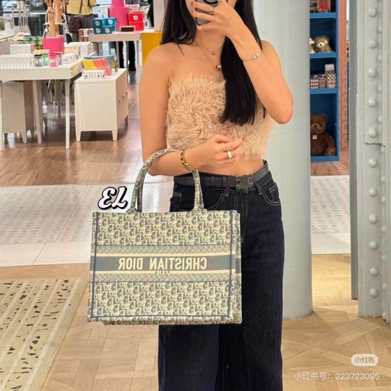 Dior's new color tote gray