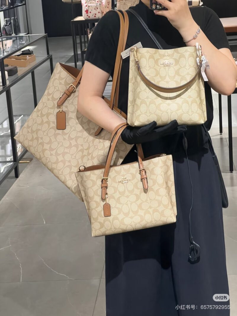 Coach bucket bag