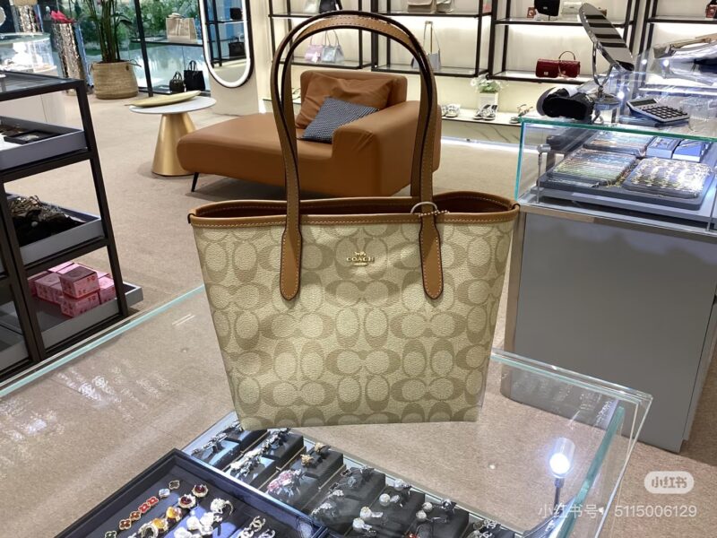 Coach's Small Tote
