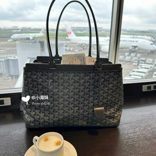 Goyard Bellechasse is really a travel tool!