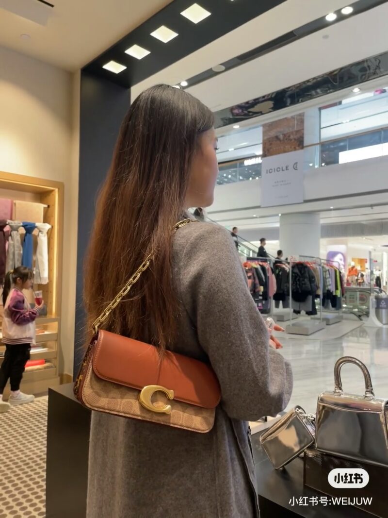 Coach Stick Bag