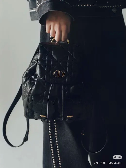72a366842f.jpg Dior backpack