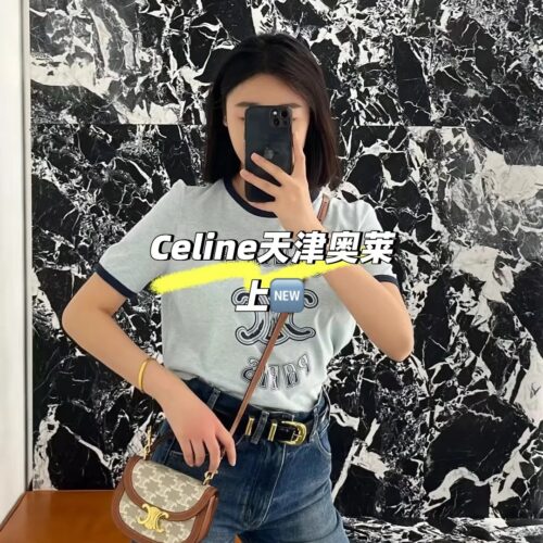 Celinemini saddle bag