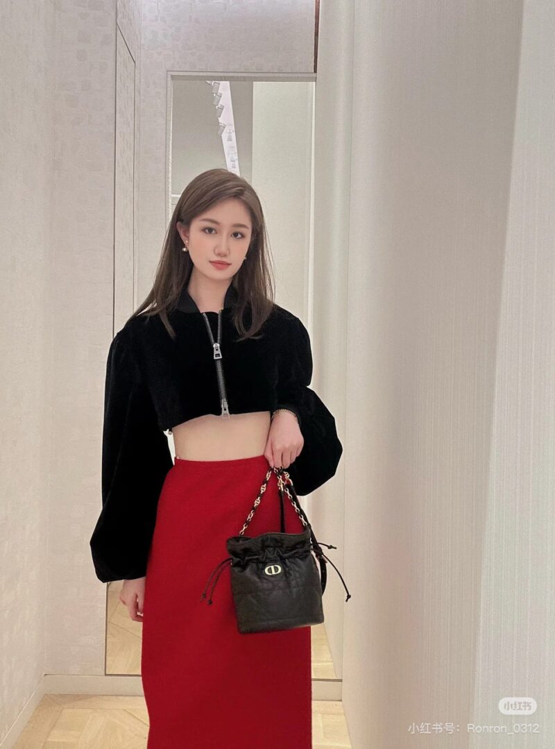 864997f2e2.jpg Dior sheepskin small lucky bag