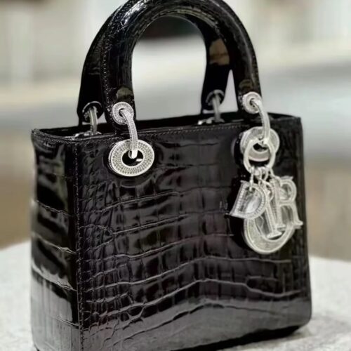 Dior Concubine Bag Diamond Buckle