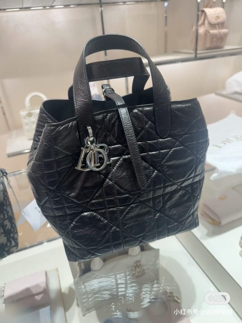 DIOR25 New Indigenous Bag