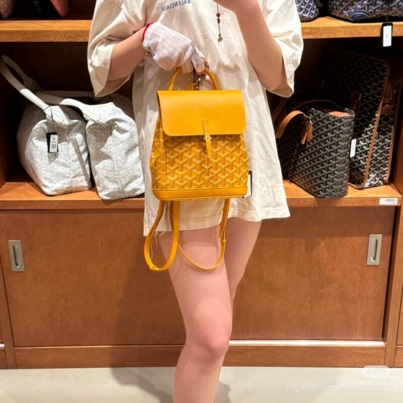 Goya Mini Shoulders
This is a backpack that combines all the advantages of a backpack. Buying this bag is equivalent to having three bags - single shoulder V, double shoulder V, crossbody V
In addition to these three memorization methods, you can als...