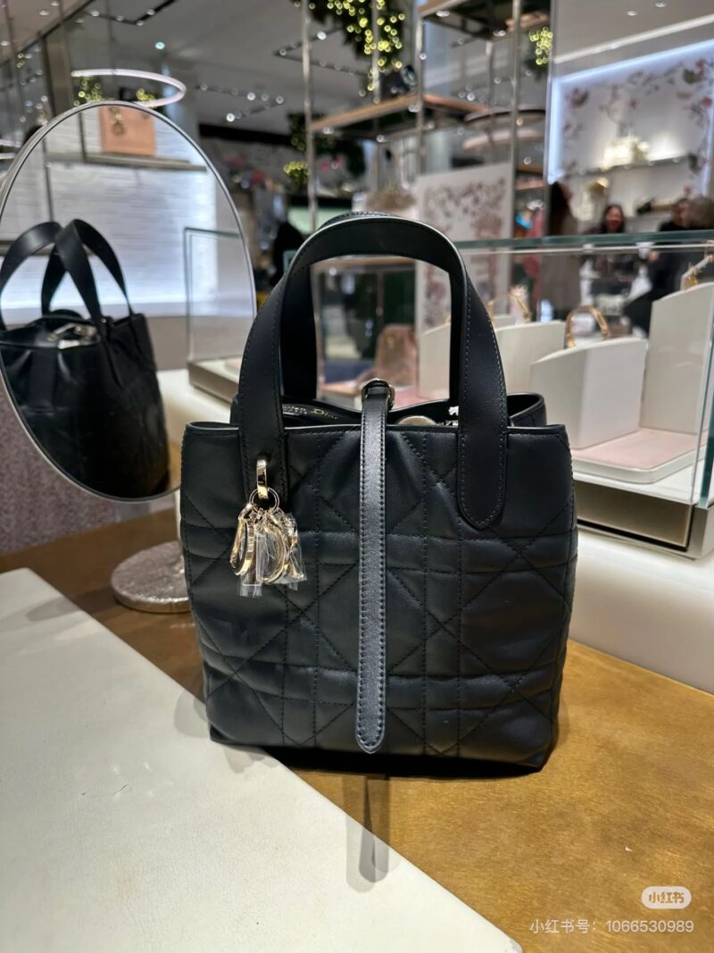 Dior indigenous bag small size practical texture and high-end