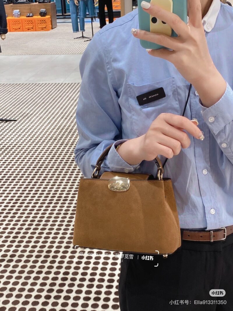 Coach's new frosted leather handbag