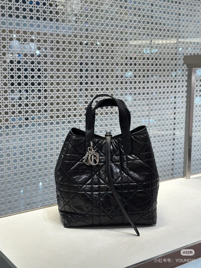 DIOR25 New Indigenous Bag