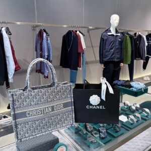 Dior's new color tote gray