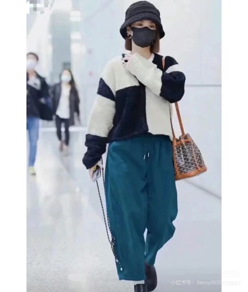 Goya bucket bag