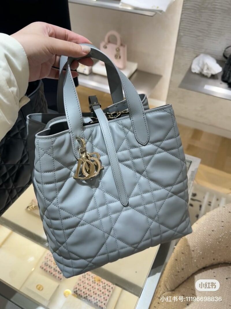 Dior indigenous bag small size practical texture and high-end