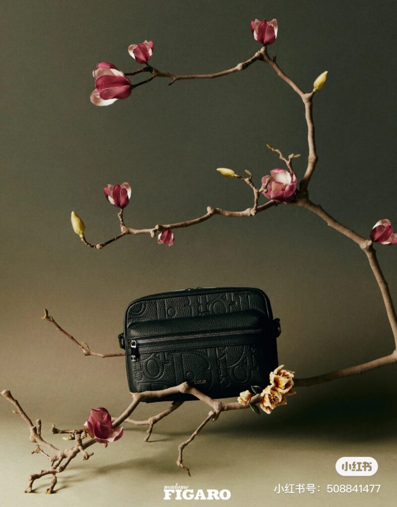 Dior unisex camera bag