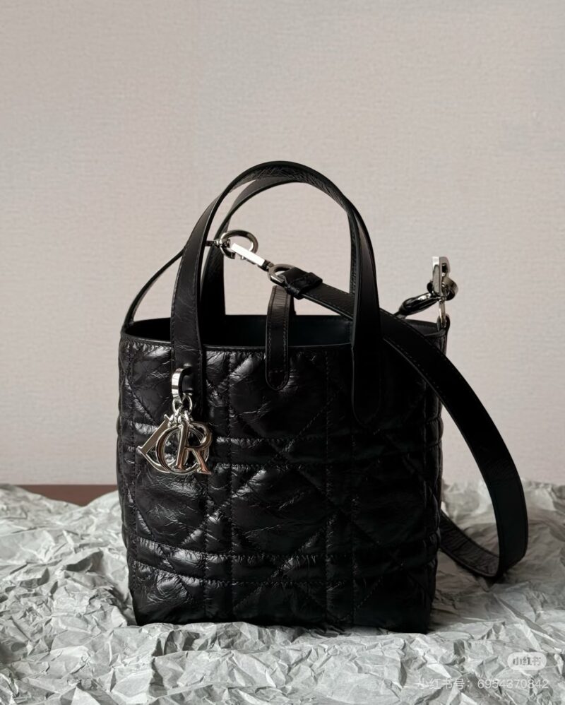 DIOR25 New Indigenous Bag