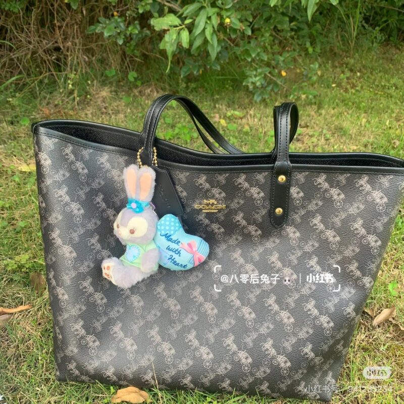 Coach double-sided shopping bag