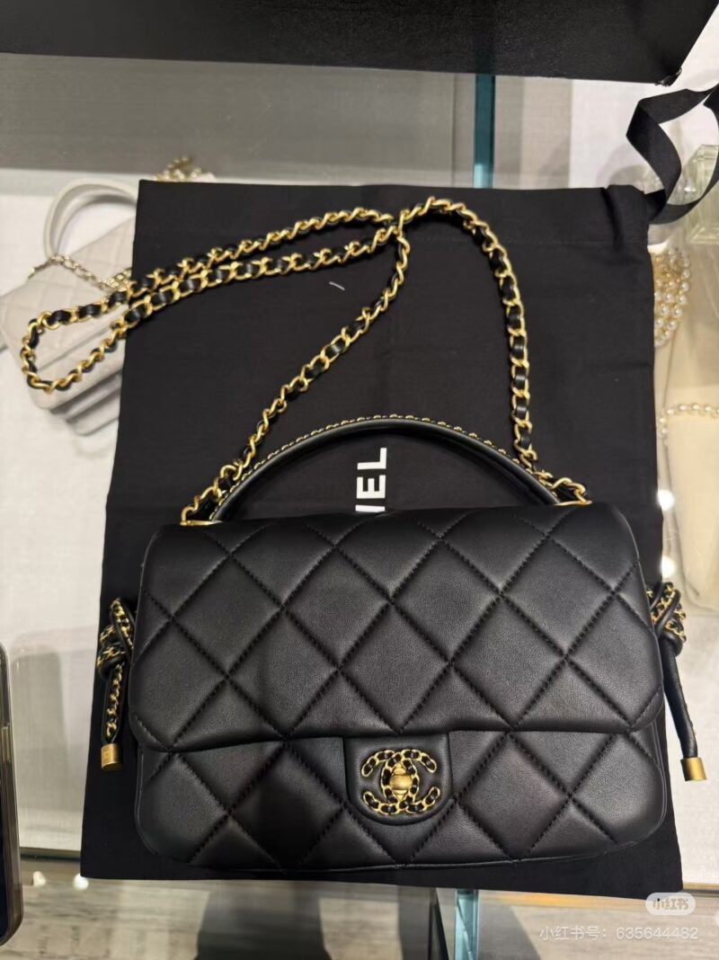 c48b65e8b1.jpg Chanel's new handheld model