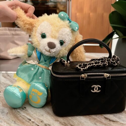 Chanel Classic Wrist Box Bag