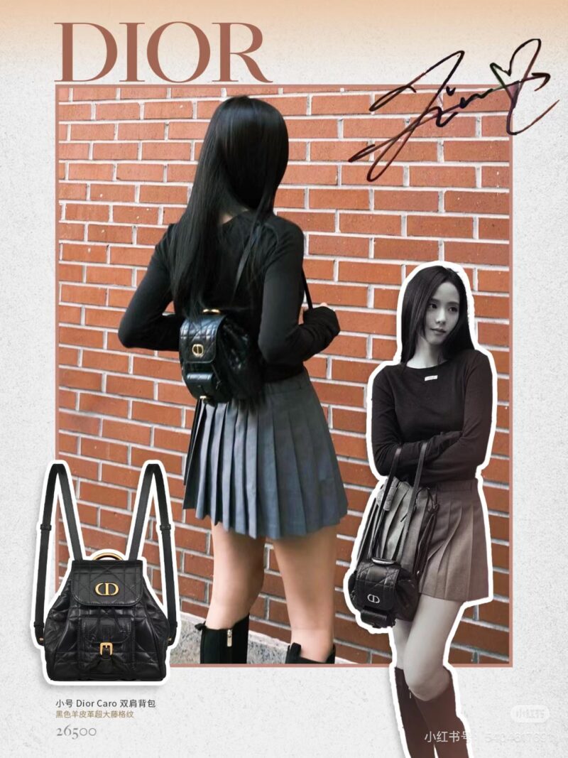 ca4a541916.jpg Dior backpack