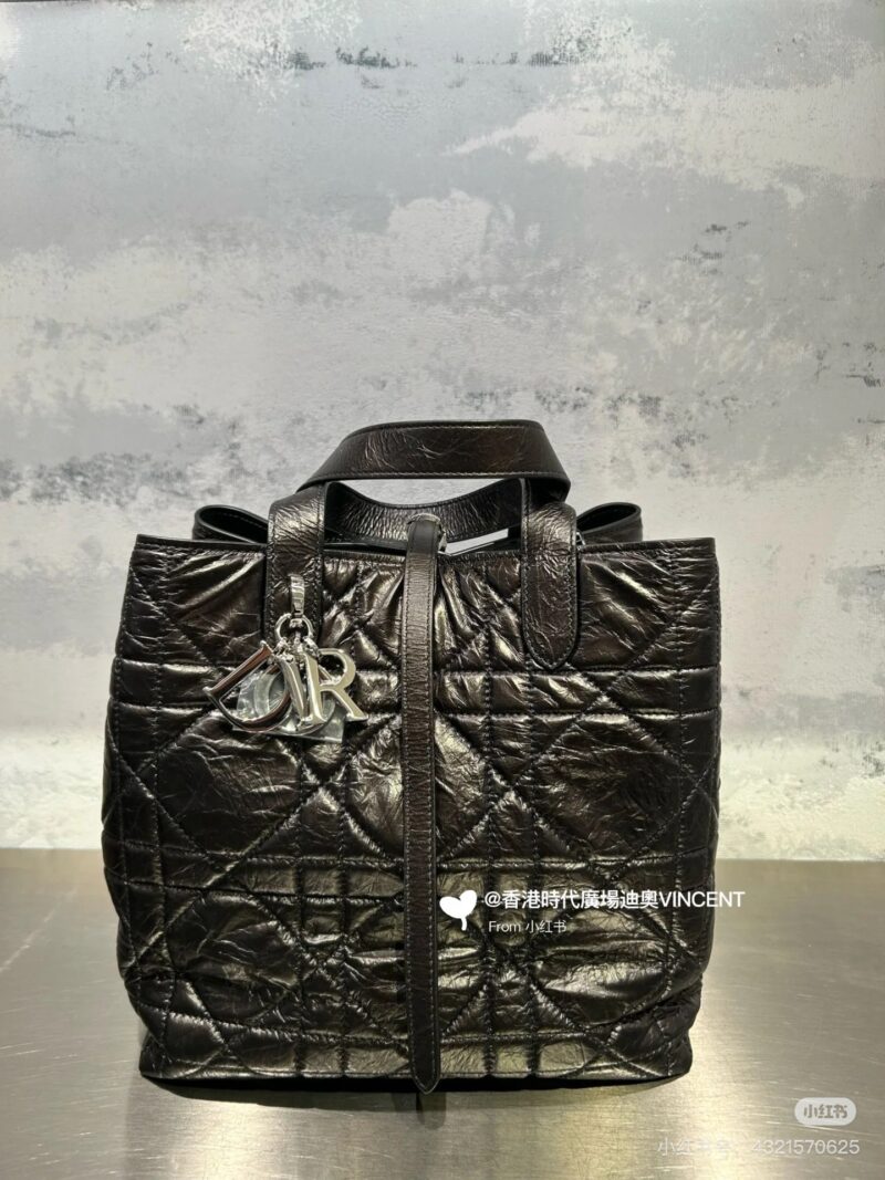 DIOR25 New Indigenous Bag