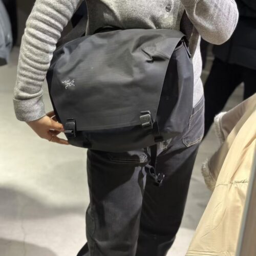 Archaeopteryx Postman Bag