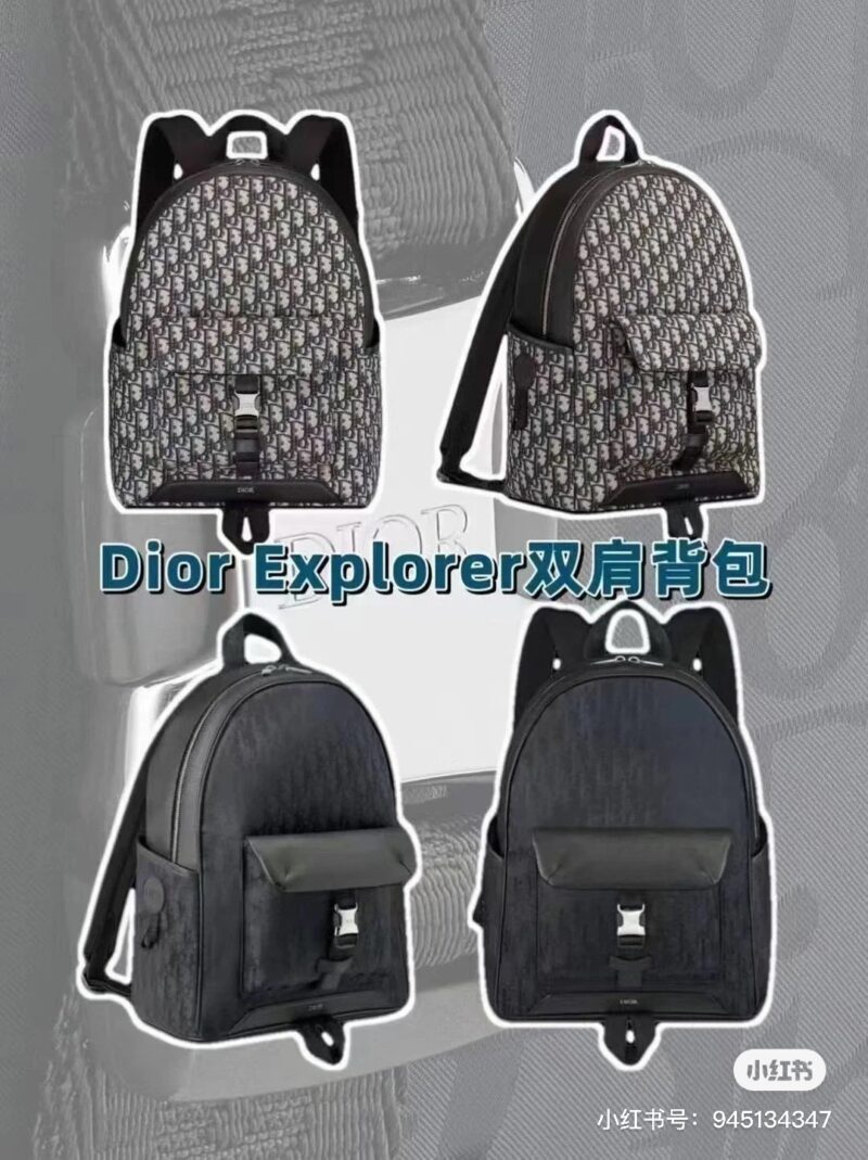 Dior backpack for both men and women