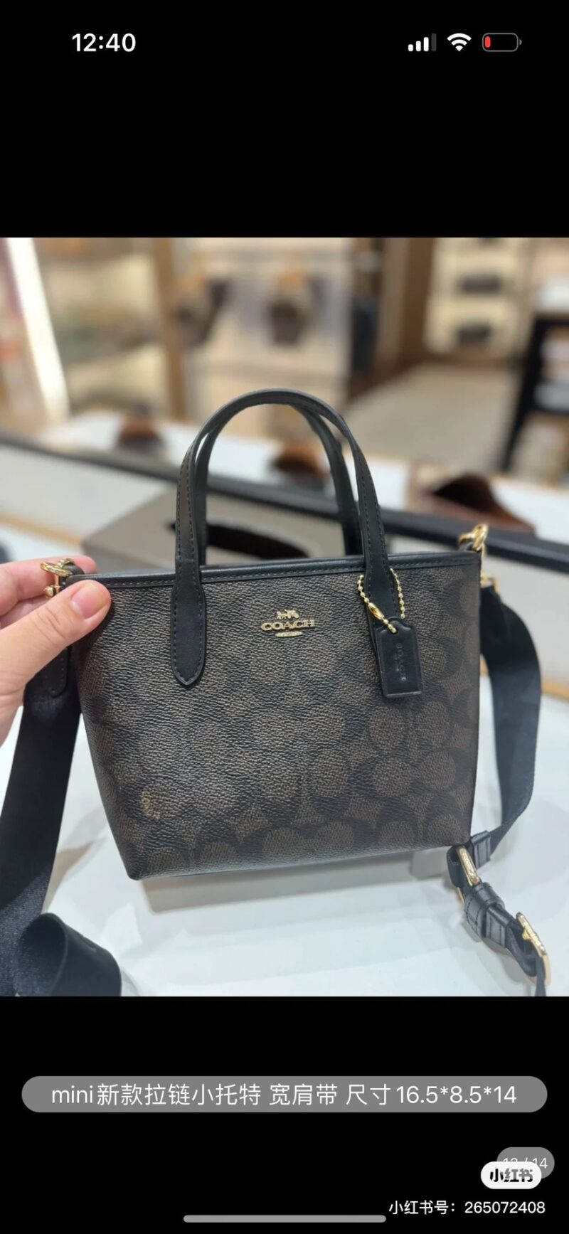 Coach Mini Tote