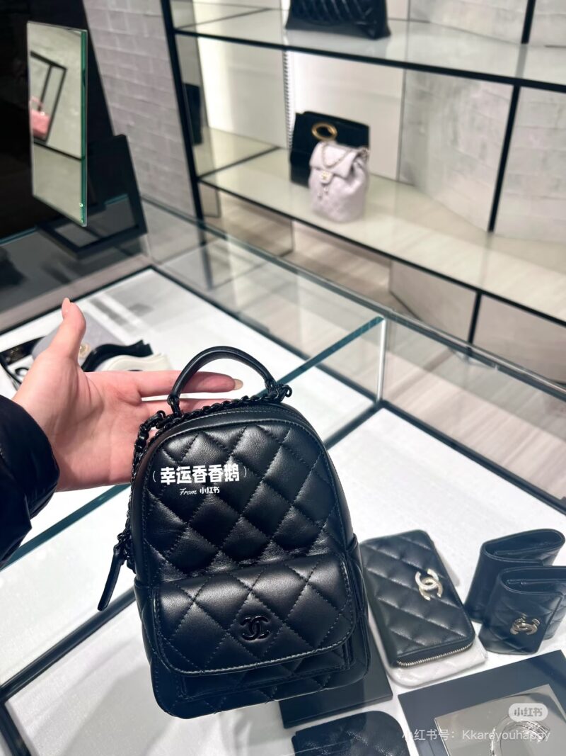 Chanel backpack 25p