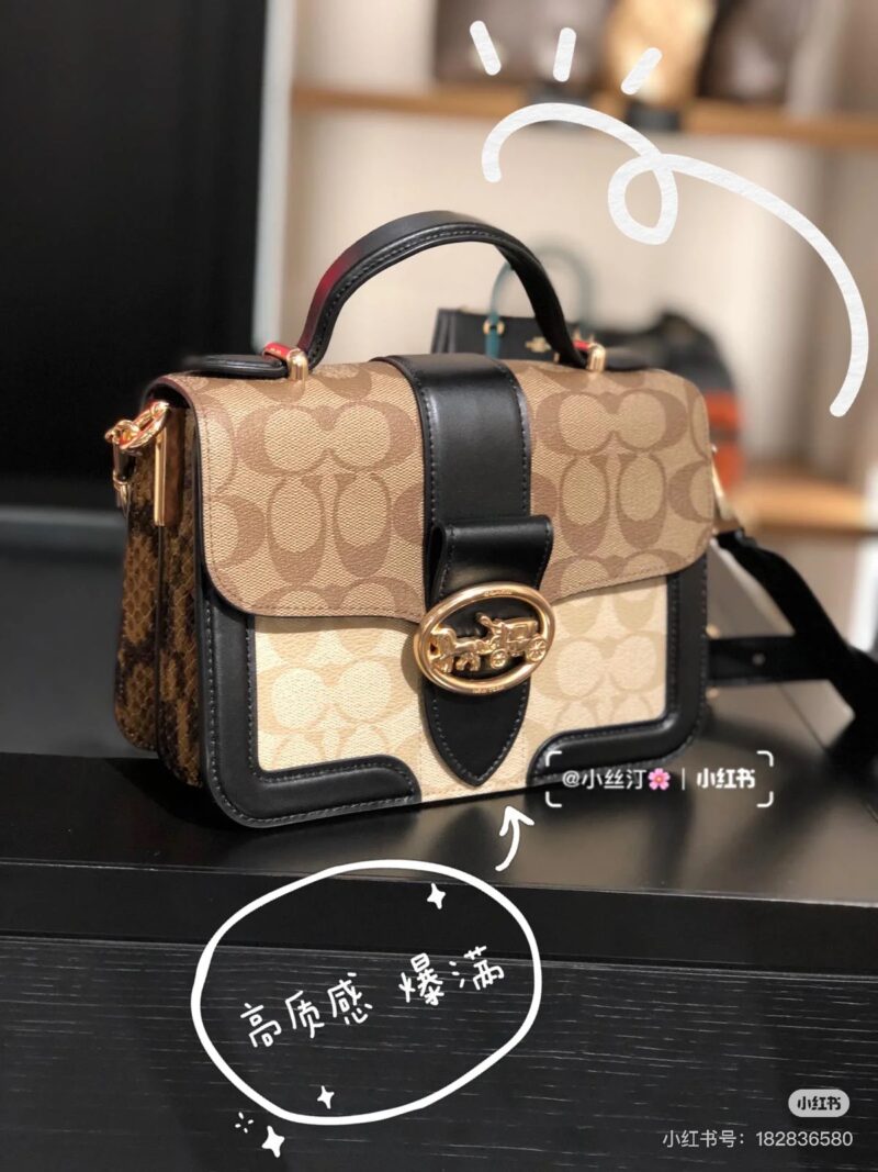 Coach's Handheld Postman Bag