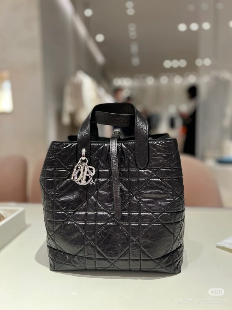 DIOR25 New Indigenous Bag