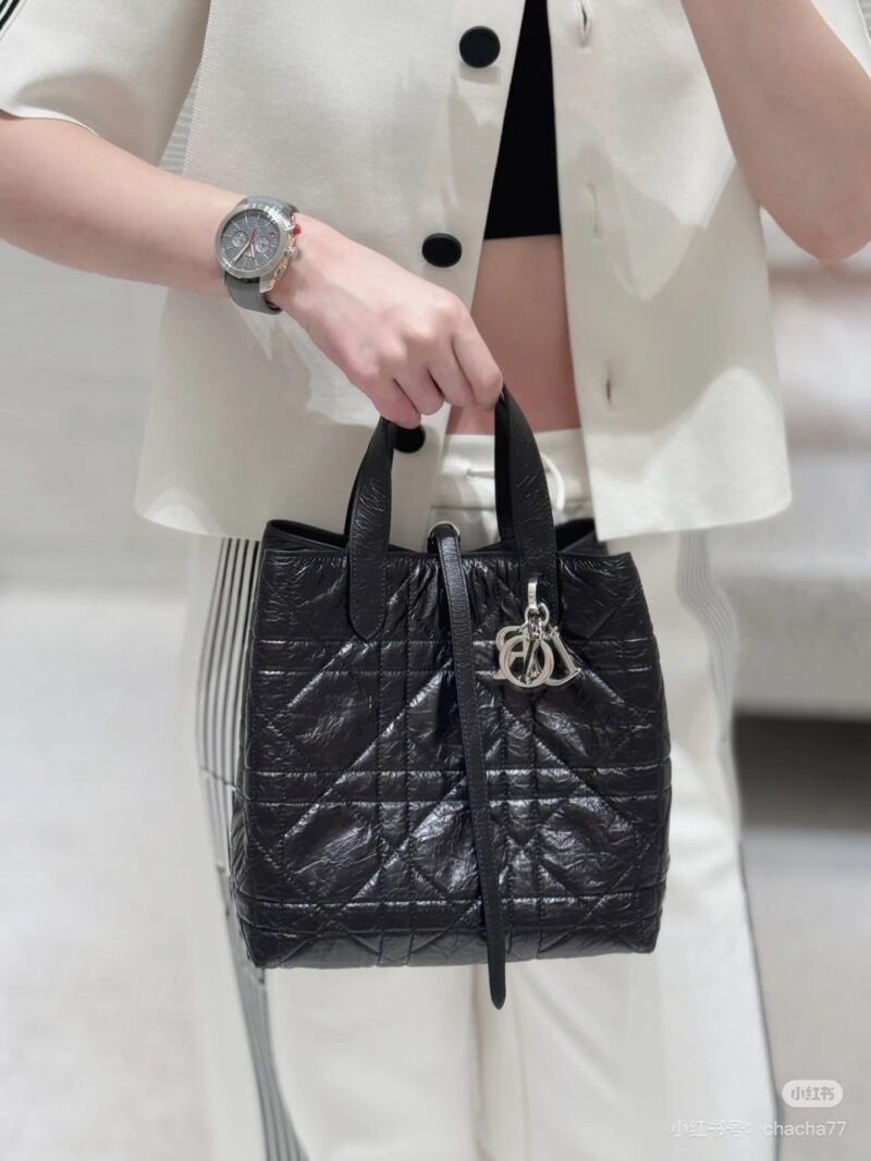 DIOR25 New Indigenous Bag